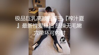 网调东北骚母猪