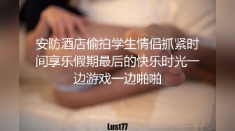 小情人是个骚货