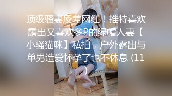 顶级骚妻反差网红！推特喜欢露出又喜欢多P的绿帽人妻【小骚猫咪】私拍，户外露出与单男造爱怀孕了也不休息 (11)