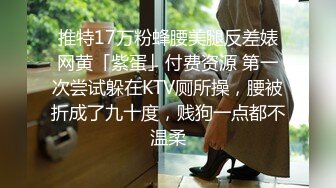 推特17万粉蜂腰美腿反差婊网黄「紫蛋」付费资源 第一次尝试躲在KTV厕所操，腰被折成了九十度，贱狗一点都不温柔