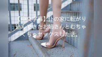 【中文字幕】仆の家に転がり込んできたお姉さんとむちゃくちゃセックスした话。