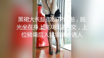 妻子的通奸2