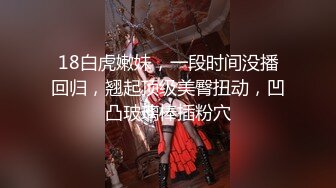 两棍入菊骚贱狗