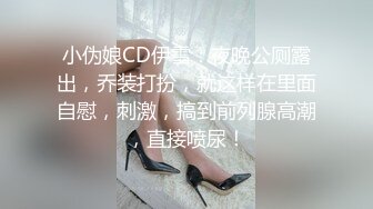 女仆装极品国民小姨子美女『依依』让姐夫无套爆操