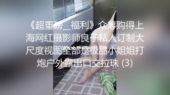 麻豆传媒 MD150-1 疫情下的背德假期 陌生人篇 舒可芯