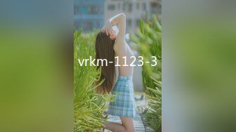 vrkm-1123-3