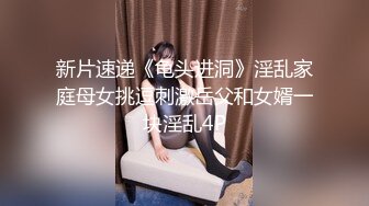 国产麻豆AV MDJ MDJ001 EP3 淫兽寄宿家庭 陈美惠