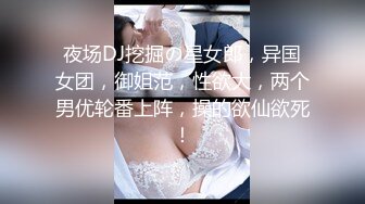 夜场DJ挖掘の星女郎，异国女团，御姐范，性欲大，两个男优轮番上阵，操的欲仙欲死！