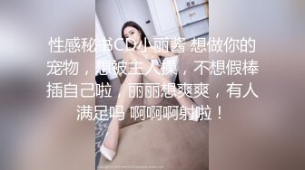 小母狗的发情5