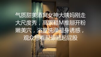 端庄优雅的沙欧福