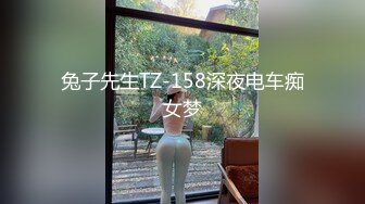 兔子先生TZ-158深夜电车痴女梦