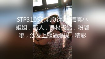 德州的模特富家女千金也来挨操 - 汝工作室