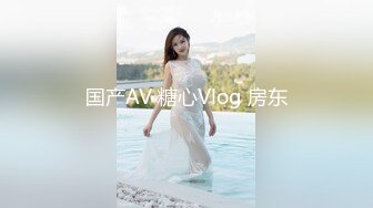 国产AV 糖心Vlog 房东