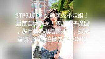 STP31023 文静新人小姐姐！居家自慰操逼！掏出奶子揉捏，多毛骚逼振动棒抽插，抓屌舔弄，骑乘位操逼 VIP0600