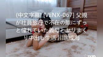 (中文字幕) [VENX-067] 父親が社員旅行で不在の隙にずっと憧れていた義母とヤリまくり中出し生活 川端成海