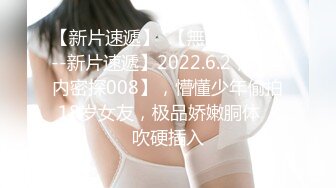 VEC-368 寝取巨乳NTR 自傲的巨乳妻子被我朋友搓揉中出 若月美衣奈