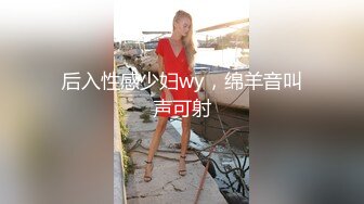 新人探花酒店换妻两对夫妻白天户外车震~晚上酒店开房换妻大战 (4)