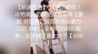 《极品CD魔手外购》神级大师商场极限抄底多位小姐姐裙内，各种透网丁字内裤阴毛外露，白裙骚女无奶罩出门一对车灯清晰可见 (3)