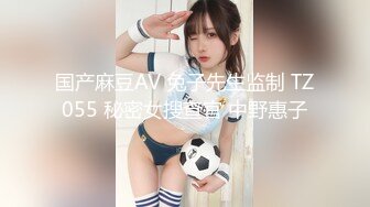 国产麻豆AV 兔子先生监制 TZ055 秘密女搜查官 中野惠子