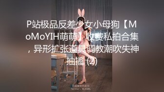 P站极品反差少女小母狗【MoMoYIH萌萌】收费私拍合集，异形扩张道具调教潮吹失神抽搐 (2)