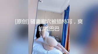 偷情的渔网人妻