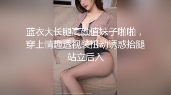 蓝衣大长腿高颜值妹子啪啪，穿上情趣透视装扭动诱惑抬腿站立后入