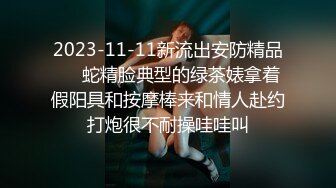 《魔手外购极品厕拍》商业城女厕全景偸拍超多少女少妇方便，逼脸同框，花臂少女尿量好足阴户微开相当诱惑，无水原档4K (1)