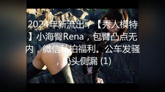 2024年新流出，【秀人模特】小海臀Rena，包臀凸点无内，微信私拍福利。公车发骚，奶头侧漏 (1)