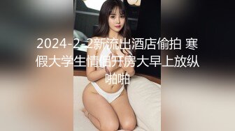 漂亮大胸的小少妇，深夜相会，超近镜头口交特写，散发浓浓的诱惑气息，主动风骚难驾驭