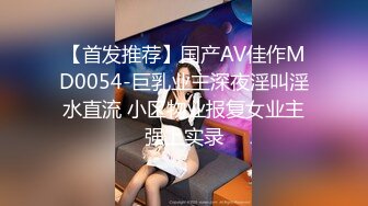 【首发推荐】国产AV佳作MD0054-巨乳业主深夜淫叫淫水直流 小区物业报复女业主强上实录