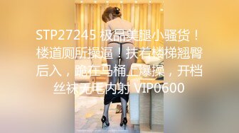 STP27245 极品美腿小骚货！楼道厕所操逼！扶着楼梯翘臀后入，跪在马桶上爆操，开档丝袜无毛内射 VIP0600