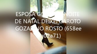 ESPOSA GOSTOSA-NOITE DE NATAL DEIXEI GAROTO GOZAR NO ROSTO (658ee8fa02a71)