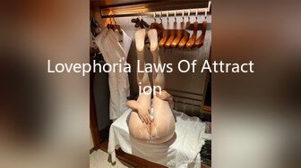 Lovephoria Laws Of Attraction