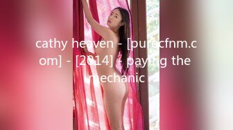 cathy heaven - [purecfnm.com] - [2014] - paying the mechanic