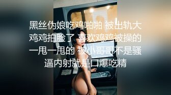 大神潜入路边公厕上帝视角偷窥少妇的小嫩B