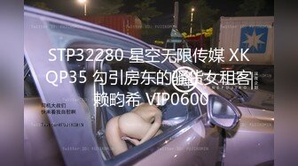 STP32280 星空无限传媒 XKQP35 勾引房东的骚货女租客 赖畇希 VIP0600