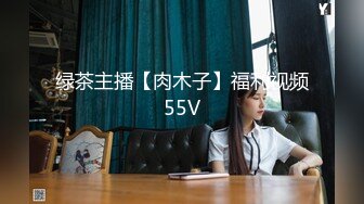 绿茶主播【肉木子】福利视频55V