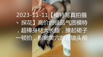 2023-11-11【模特写真拍摄丶探花】高价约极品气质模特，超棒身材大长腿，撩起裙子一顿拍，粉嫩美穴怼在镜头前