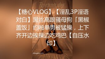 【糖心VLOG】【淫乱3P淫语对白】黑丝高跟骚母狗「黑椒盖饭」约啪单男被猛操，上下齐开边挨操边吃鸡巴【自压水印】