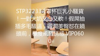 STP32233 E罩杯巨乳小騷貨！一對大奶又白又軟！假屌抽插多毛騷逼，圓潤美臀怼在鏡頭前，極度風騷誘惑 VIP0600