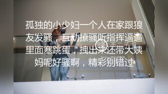 酒店偷拍系列-女人韵味十足的御姐穿着情趣内衣激情做爱