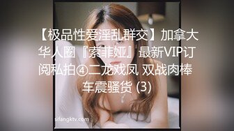 【极品性爱淫乱群交】加拿大华人圈『索菲娅』最新VIP订阅私拍④二龙戏凤 双战肉棒 车震骚货 (3)